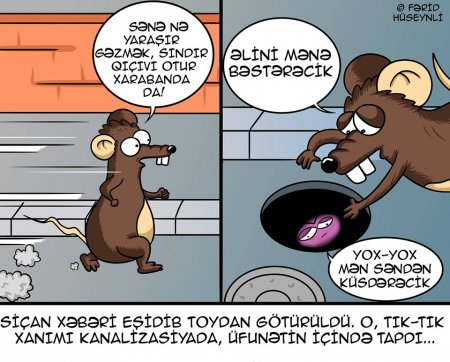 Siçandan qaçan "Tık-tık" xanım Dubaya getdi