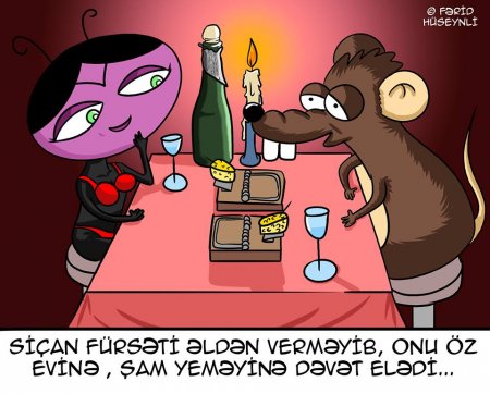 Siçandan qaçan "Tık-tık" xanım Dubaya getdi
