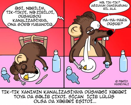 Siçandan qaçan "Tık-tık" xanım Dubaya getdi