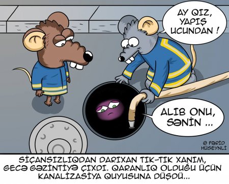 Siçandan qaçan "Tık-tık" xanım Dubaya getdi