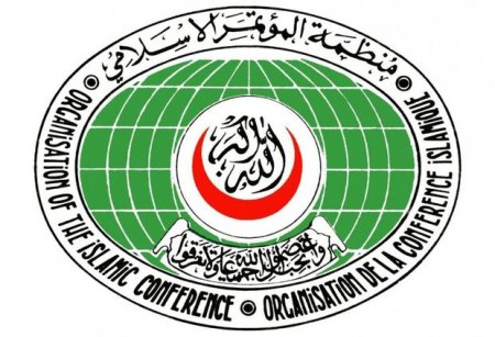 İstanbulda İslam ölkələrinin sammiti başlayıb