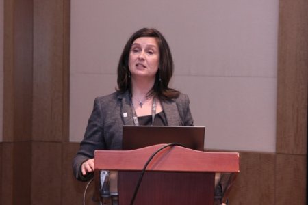 Lüks turizm təmsilçilərinin Bakıda növbəti görüşü keçirilib