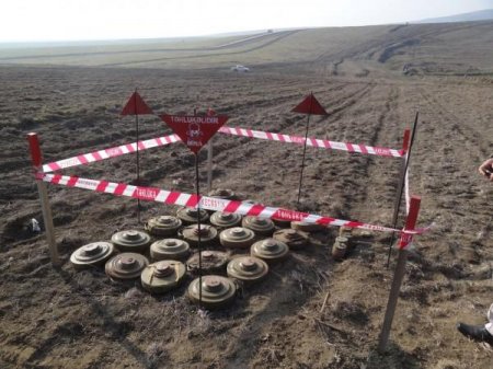 Cəbhəyanı bölgədə partlamamış hərbi sursat aşkarlandı