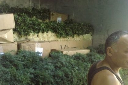 Rövşən Lənkəranski və Bakıdan başlayan göyərti müharibəsi Rövşən Lənkəranski və Bakıdan başlayan göyərti müharibəsi