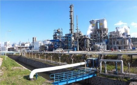 “SOCAR Turkey Energy” “Petkim”dəki payını satır