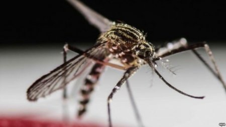 Dəhşətli virus Azərbaycana yaxınlaşdı, ÜST xəbərdarlıq etdi
