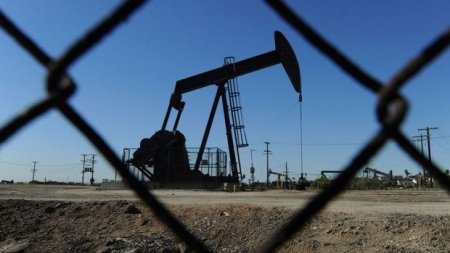 BP Azərbaycanın neft ehtiyatlarının həcmini açıqladı