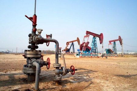 Brent markalı neftin qiyməti 50 dollardan aşağı düşdü