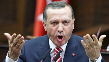 Ərdoğan: Əməliyyat PYD-nin tam ləğvinə qədər davam edəcək