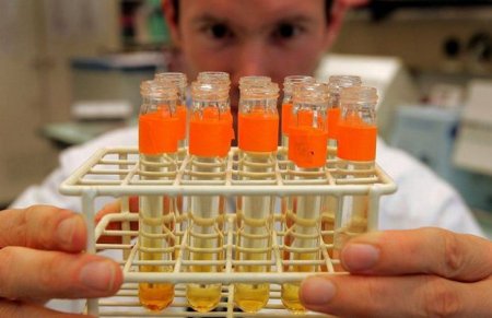 Azərbaycanda antidopinq qanunvericiliyi sərtləşdirilə bilər
