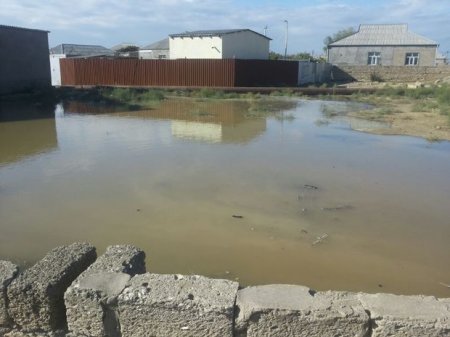 Bakıda subasma halları artıb