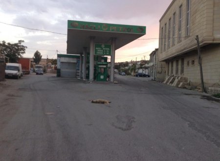 Xırdalan səhəri güllə səsləri ilə açdı!