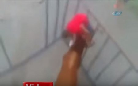 Qəzəbli öküzün qisası