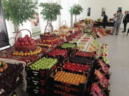 Azərbaycanda yeni assosiasiya yaradıldı