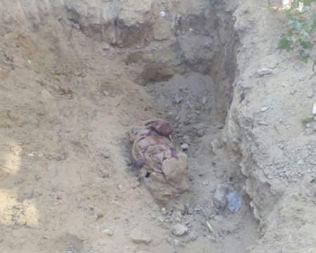 DİN Aygün Bəylərin qardaşının törətdiyi qətllə bağlı məlumat yayıb