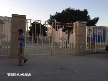 Pirallahıda vəhşilik: Sahibsiz itlər küçədə güllələndi