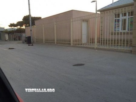 Pirallahıda vəhşilik: Sahibsiz itlər küçədə güllələndi