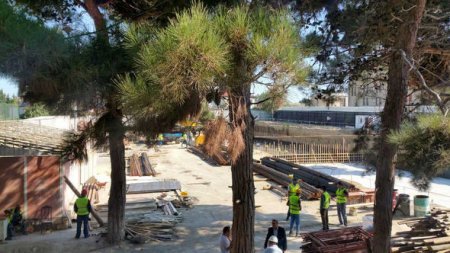 Nazir səhlənkarlığa yol verən kollec direktorunu işdən çıxarıb