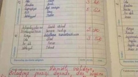 Məktəblinin gündəliyinə yazılan QEYD: paylaşım rekord qırdı