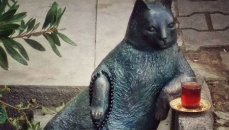 İstanbulda Türkiyənin ən məşhur pişiyinə heykəl qoyuldu