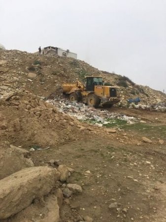 Badamdarı sökürlər