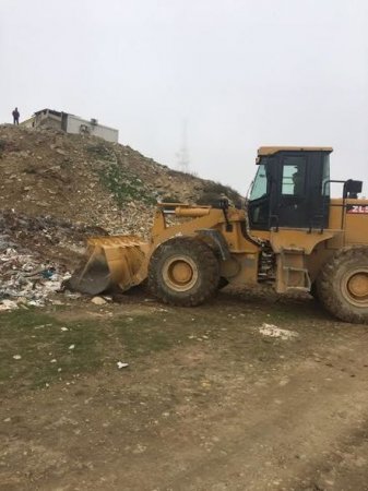 Badamdarı sökürlər