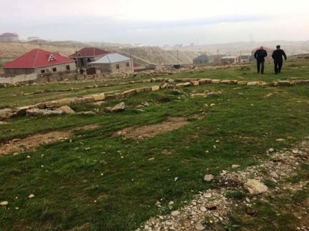 Badamdarı sökürlər