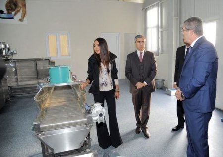 Bakıda IDEA Heyvanlara Qayğı Mərkəzi açılıb