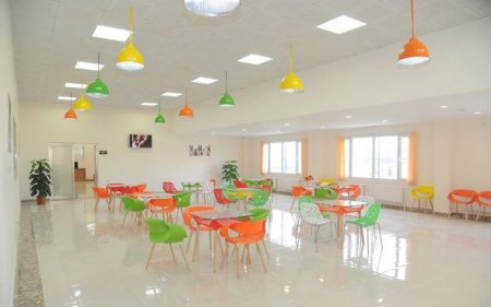 Bakıda IDEA Heyvanlara Qayğı Mərkəzi açılıb