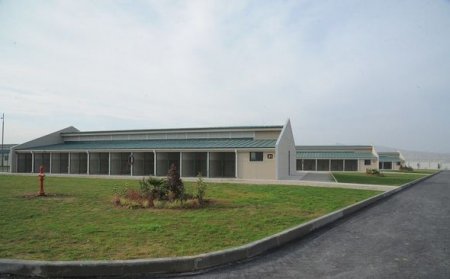 Bakıda IDEA Heyvanlara Qayğı Mərkəzi açılıb