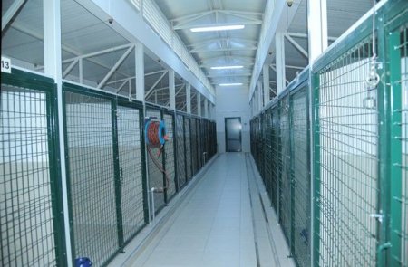 Bakıda IDEA Heyvanlara Qayğı Mərkəzi açılıb