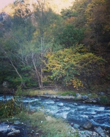 Erməni qızları Kəlbəcərin ən son görüntülərini yaydılar
