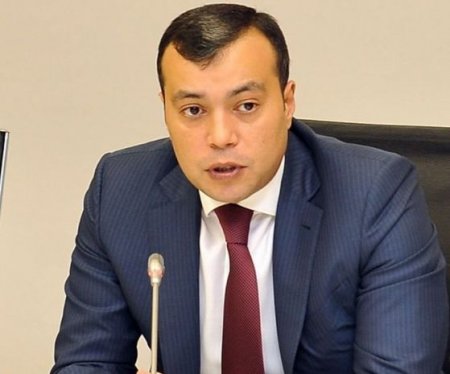 Nazir müavini: Azərbaycan Serbiyaya verdiyi kreditdən milyonlar qazanacaq