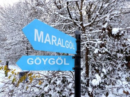 Ağ örpəkli Göygöl