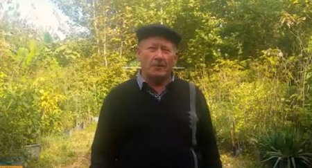 Azərbaycanlı iyirmi sot sahədə milyonlarla bitki yetişdirdi