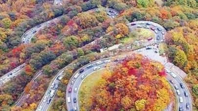 Xəzərin sahilində dünyanın ən gözəl yolu