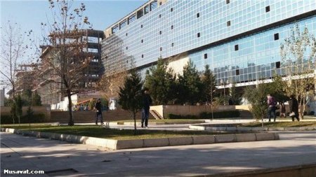 Milyonlar xərclənən parkı zəbt edib hissə-hissə satırlar