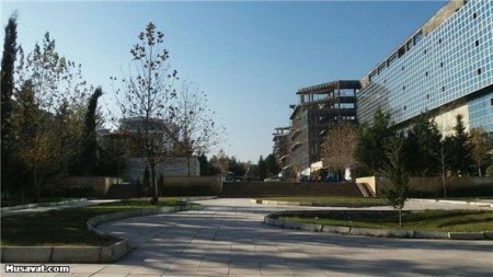 Milyonlar xərclənən parkı zəbt edib hissə-hissə satırlar
