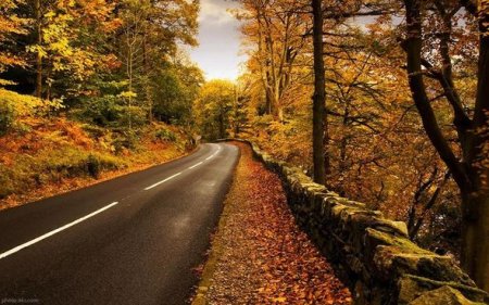 Xəzərin sahilində dünyanın ən gözəl yolu