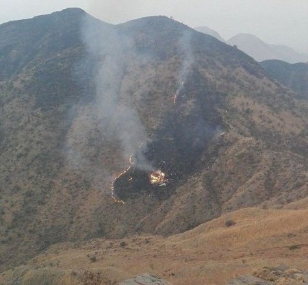 Pakistanda sərnişin təyyarəsi qəzaya uğrayıb