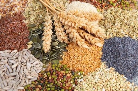 Faydalı ərzaqların istifadəsi üçün doğru zamanı seçin