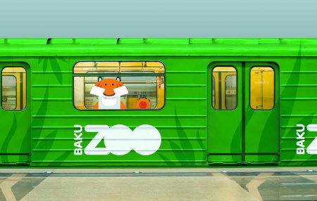 Azərbaycanlı dizaynerlərdən Bakı Zooparkı üçün maraqlı təklif
