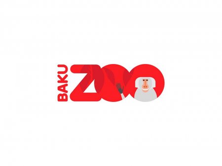 Azərbaycanlı dizaynerlərdən Bakı Zooparkı üçün maraqlı təklif