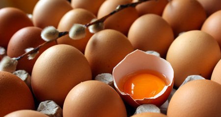 Kənd yumurtası təhlükəlidir?