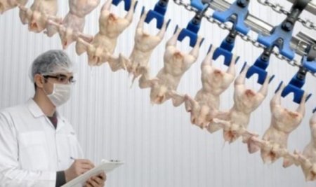 Oskayan və Bozacıyan Azərbaycanı yumurta və toyuq əti ilə təchiz edir