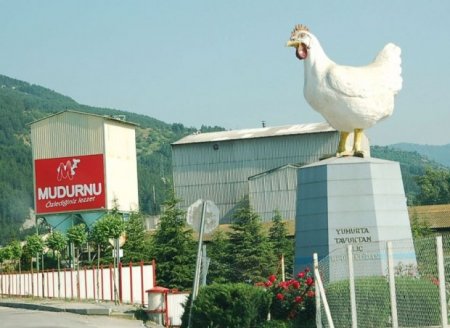 Oskayan və Bozacıyan Azərbaycanı yumurta və toyuq əti ilə təchiz edir