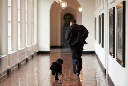 Qeyri-rəsmi Obama