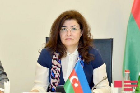 İlham Əliyev bum vəd edir, Sevinc Həsənova isə ixtisarlar hazırlayır