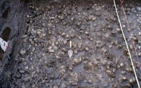 Arxeoloqlar 3800 yaşı olan kartof sahəsi tapıblar