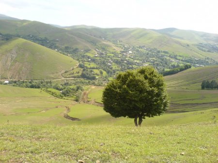 "Gedik-bək" və ya "Gədəbəy"